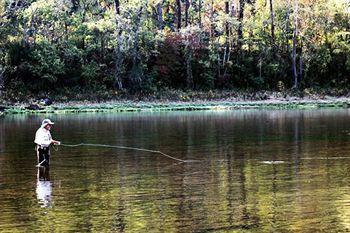 The White River Inn Bull Shoals Eksteriør bilde
